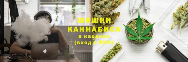 сатива Алексеевка