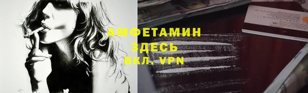 стаф Алексин