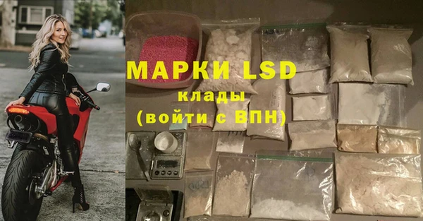 стаф Алексин