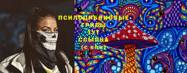 стаф Алексин